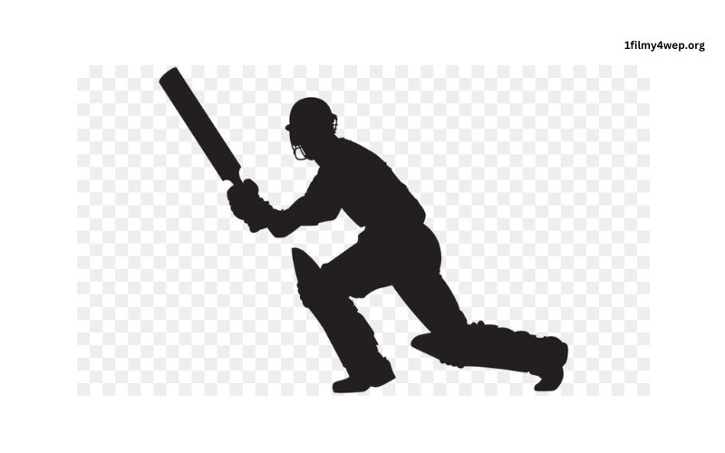 Google Who Is Your Favourite Cricketer